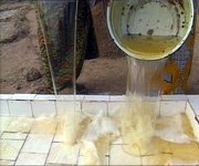 Einf hrung einer neuen und