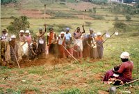 Marguerite und die Frauengruppe vom H gel auf ihrem Gemeinschaftsfeld